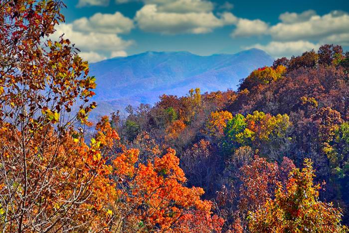 Mountain View Paradise Main image 1